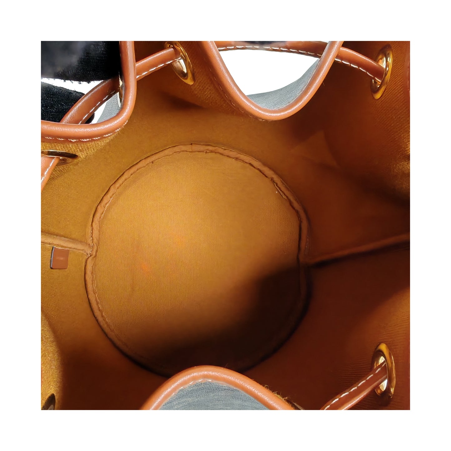 CÉLINE CLARA Bag in TRIOMPHE CANVAS & CALFSKIN