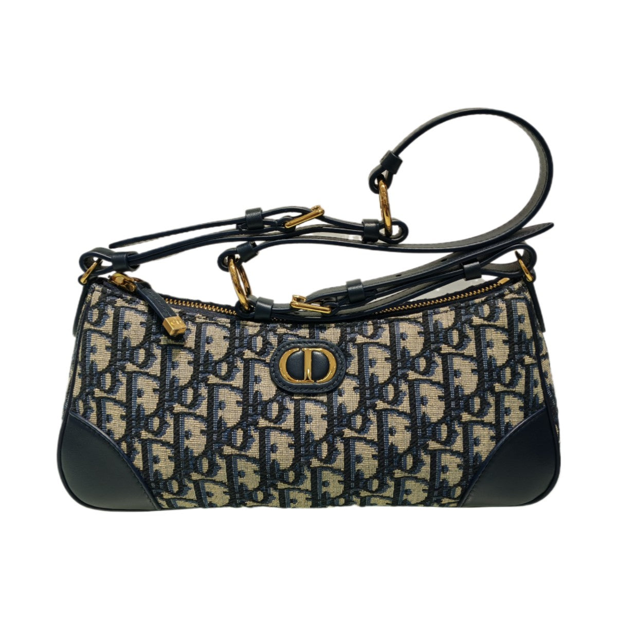 DIOR 30 Montaigne Wonderlust Mini Bag